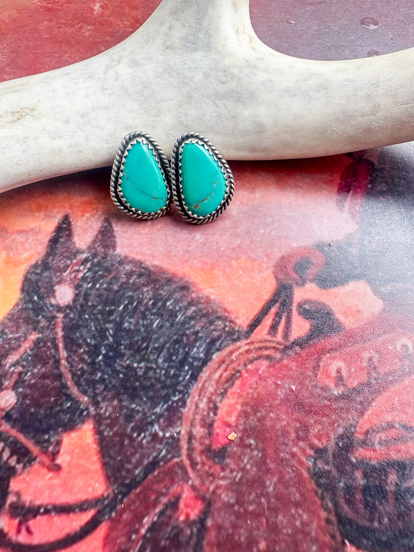 Sonoran Studs